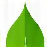 Green leaf icon symbolizing freshness